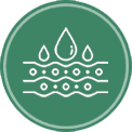 Circle
