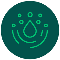 Circle Icon